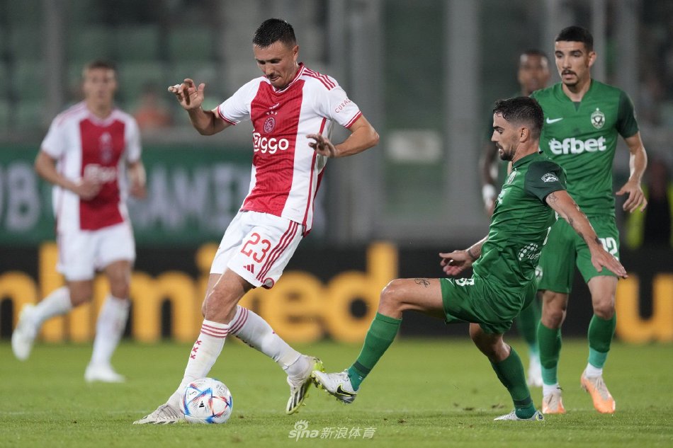 为规避行为 为规避行为